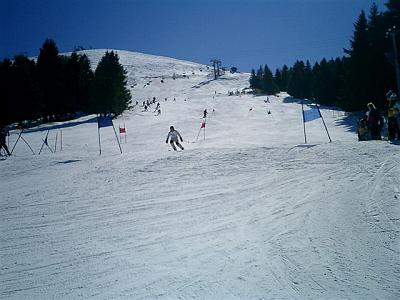 Pezz13Mar05 009